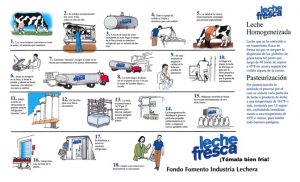 Descarga la guía oficial imprimible del proceso de elaboración de leche fresca de Puerto Rico